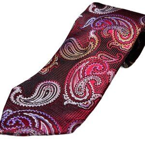 The Big Knot by Steven Land Men's Paisley Silk Tie